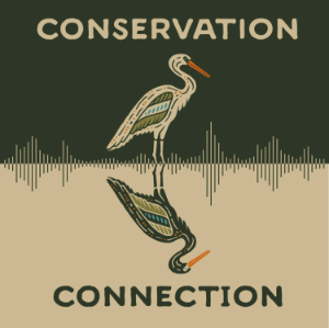 Conservation Connection